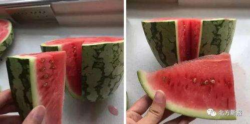 暑假大型吃瓜